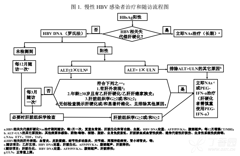 2019年版慢乙肝指南即将发布，抗病毒适应症放宽啦！